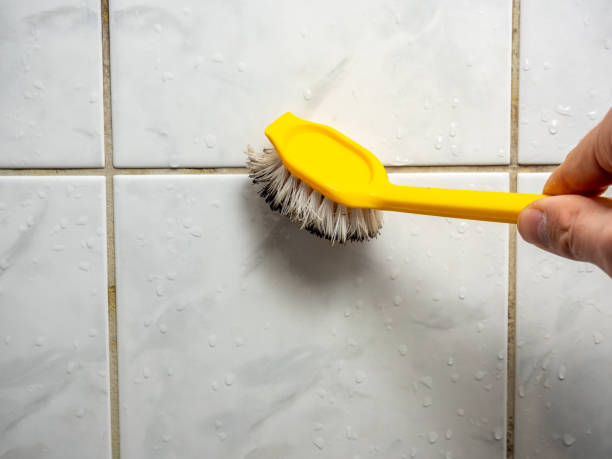 Best Mold Remediation Experts  in Point, TX