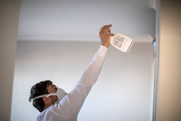 Best Crawl Space Mold Removal  in Point, TX