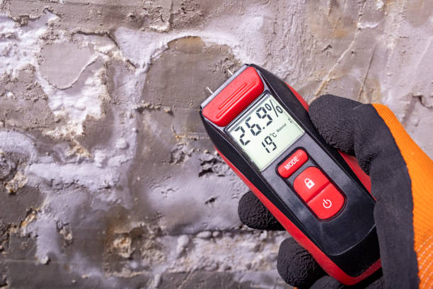 Best Emergency Mold Removal  in Point, TX