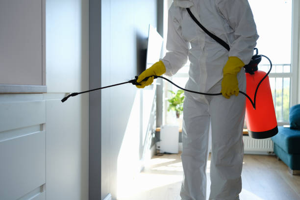 Best Commercial Mold Removal  in Point, TX