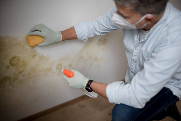 Water Damage Restoration in Point, TX
