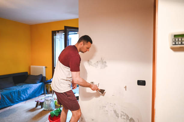 Best Certified Mold Removal  in Point, TX